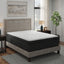 Beckford Plush Box Top