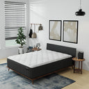 Beckford Plush